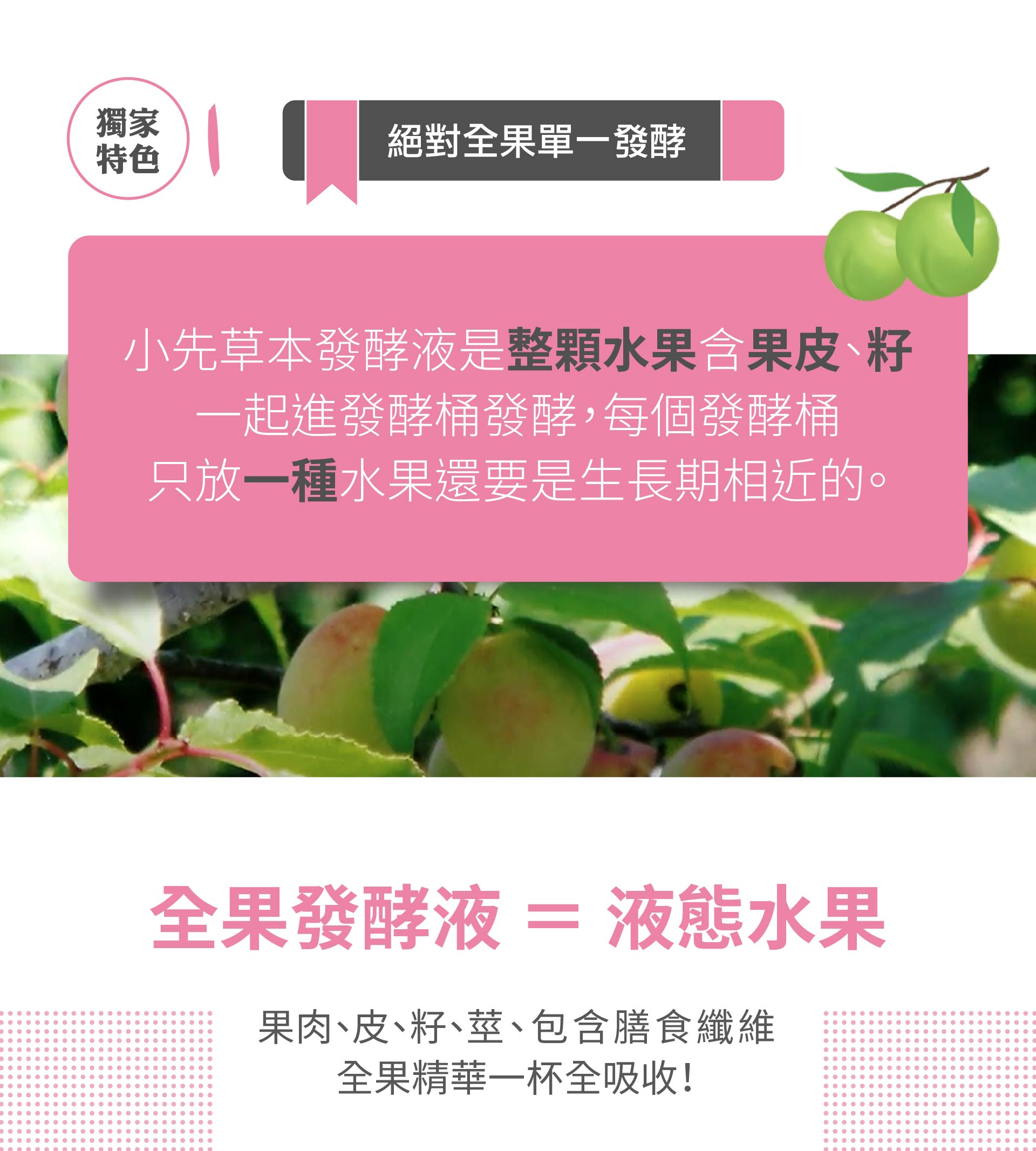 小先草本 台東梅子發酵液 400mL|無添加酵素飲|COCOLOVE
