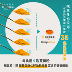 薑黃亞麻仁籽油軟膠囊 30顆/盒｜促進代謝