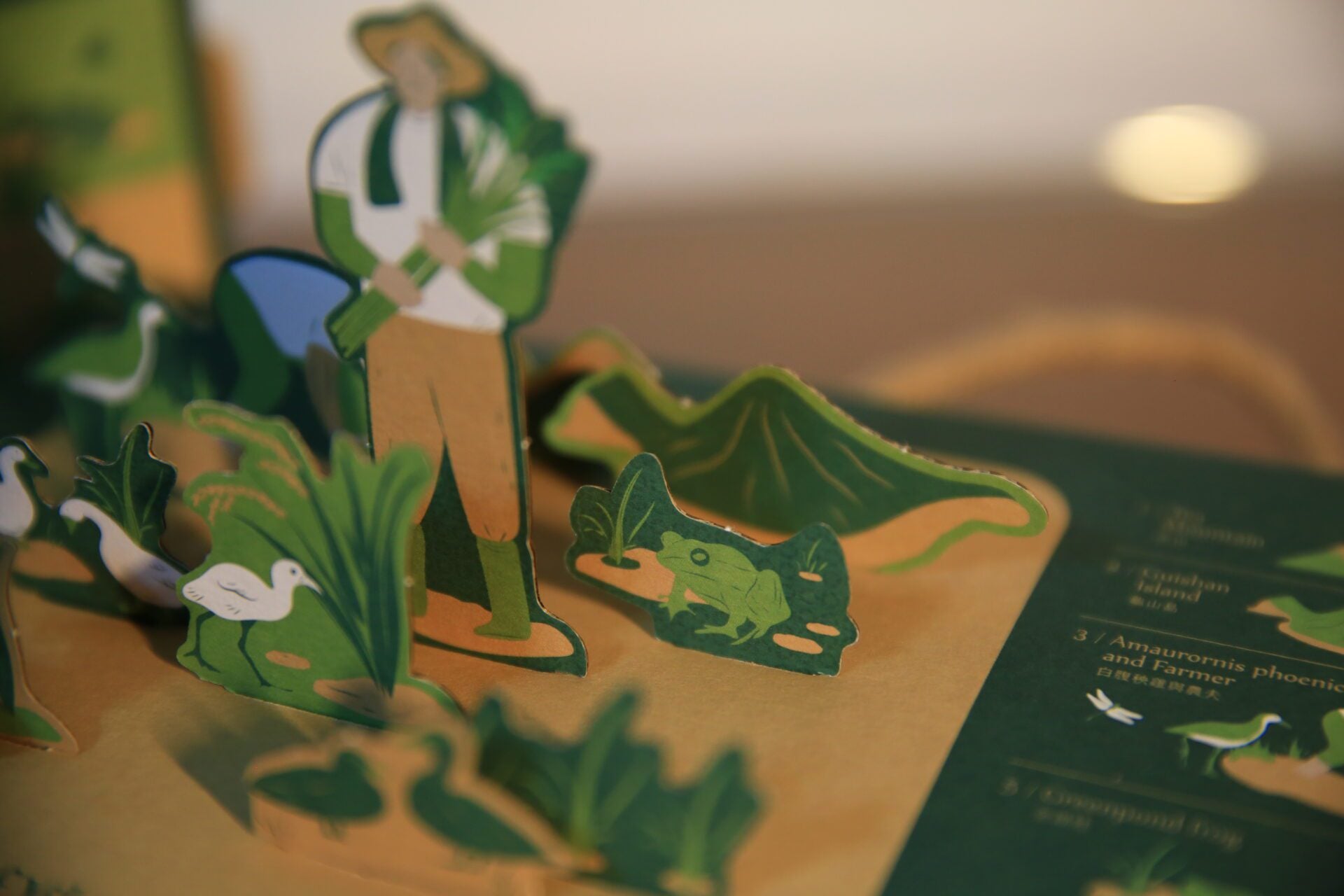 宜蘭農家 綠映大地米禮盒｜送禮首選